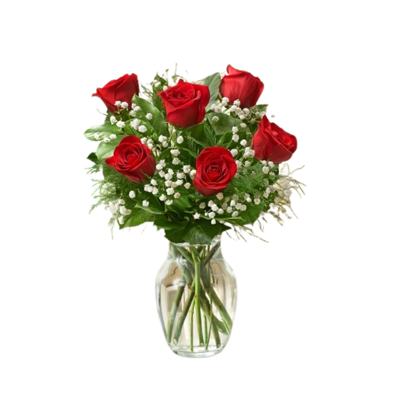 Half Dozen Roses Vased
