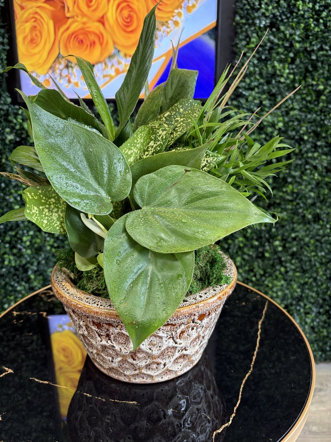 8” Garden Dish Ceramic