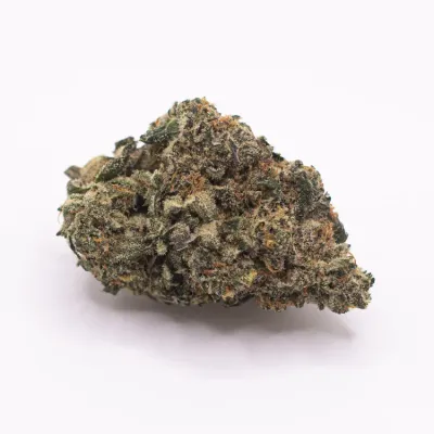 THCA - Mid Flower - Gelato 41