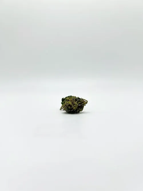 THCA - Small Flower - Headband