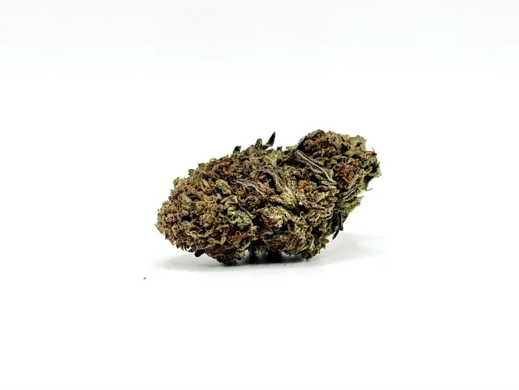 THCA - Mid Flower - Pineapple Punch