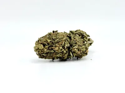 THCA - Exotic Flower - Mango Mentality