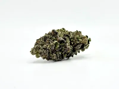 THCA - Top Shelf Flower - White Runtz
