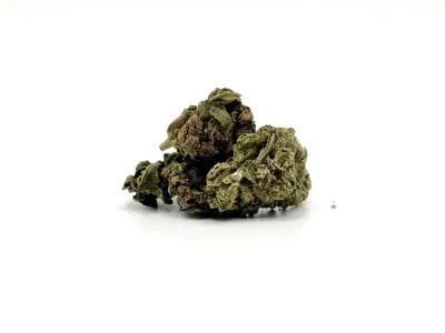 THCA - Small Flower - MJ Mintz