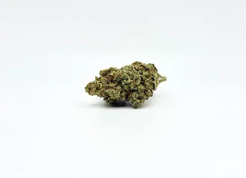 THCA - Exotic Flower - Golden Goat