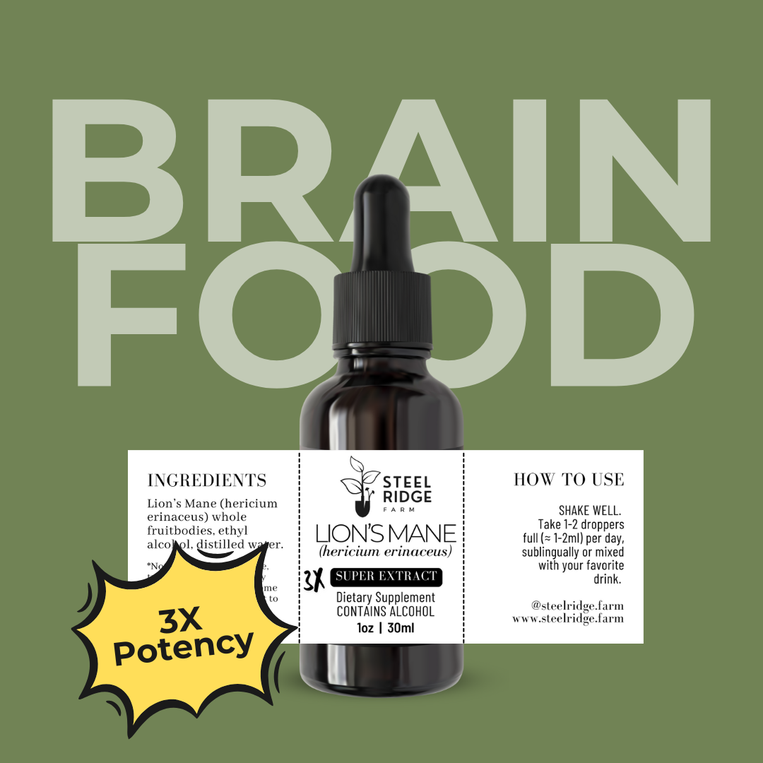 Lion's Mane SUPER Extract Lion's Mane SUPER Extract tincture — 3x concentrated dual-extract, Steel Ridge Farm, Idalia, CO