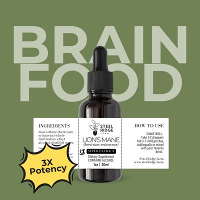 Lion's Mane SUPER Extract tincture — 3x concentrated dual-extract, Steel Ridge Farm, Idalia, CO