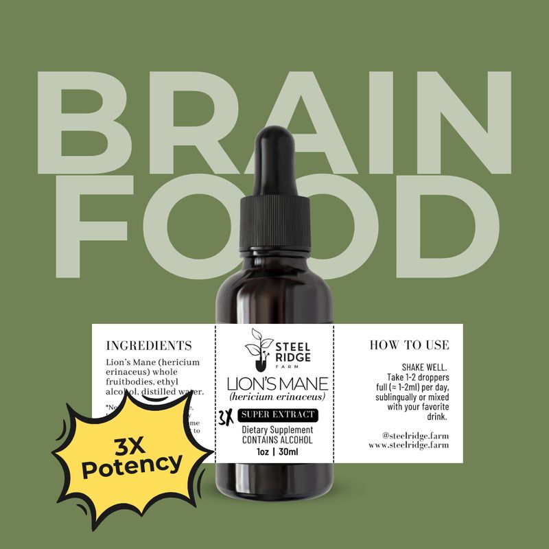 Lion's Mane SUPER Extract tincture — 3x concentrated dual-extract, Steel Ridge Farm, Idalia, CO