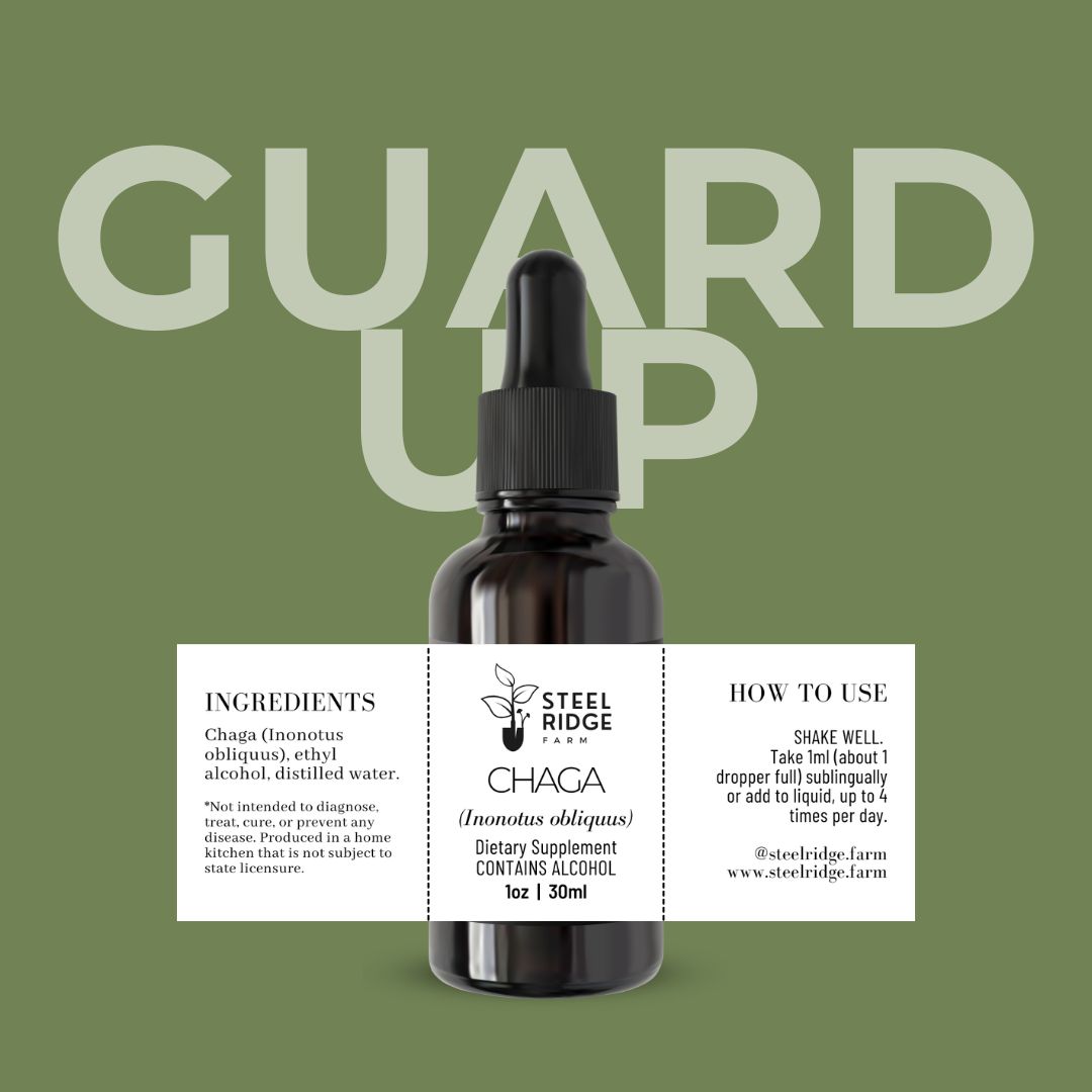 Wild Chaga Extract tincture — wild-harvested dual-extract, Steel Ridge Farm, Idalia, CO