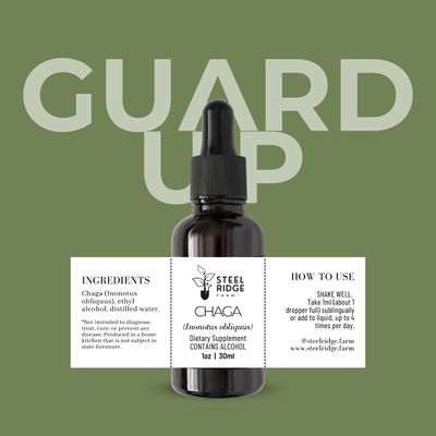 Wild Chaga Extract tincture — wild-harvested dual-extract, Steel Ridge Farm, Idalia, CO