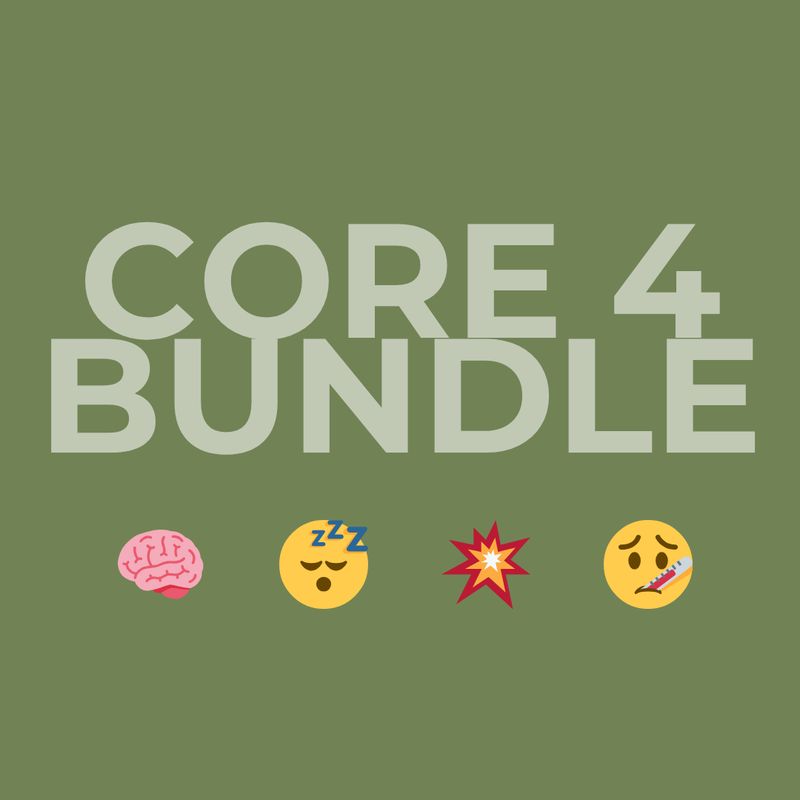 Core Four Bundle graphic — Lion's Mane, Reishi, Cordyceps, Wild Chaga extracts, Steel Ridge Farm