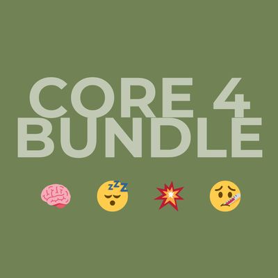 Core Four Bundle graphic — Lion's Mane, Reishi, Cordyceps, Wild Chaga extracts, Steel Ridge Farm