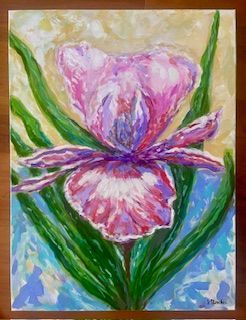 Large Pink Iris