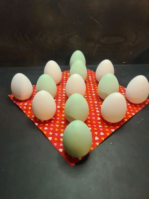 Eier