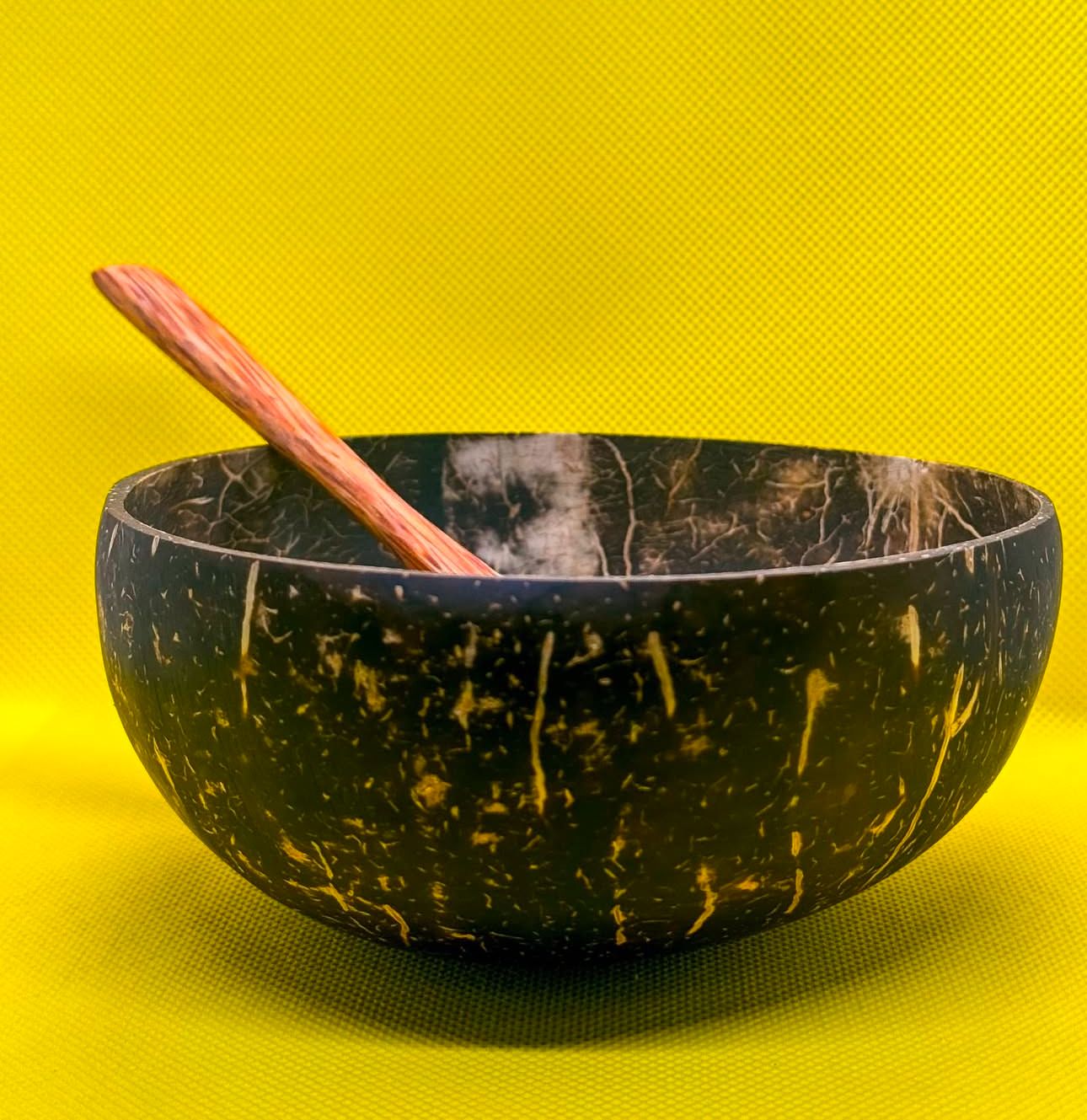Handcrafted Coconut Bowl and Spoon set
