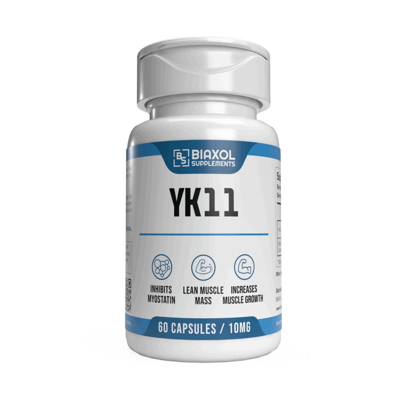 YK11