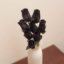 Assorted Black Roses