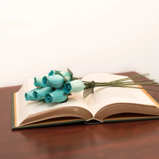 Tiffany Blue Roses