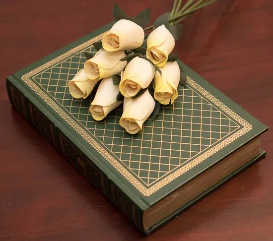 White Rose with Yellow Tips