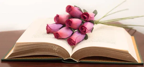 Lavender/Red Roses