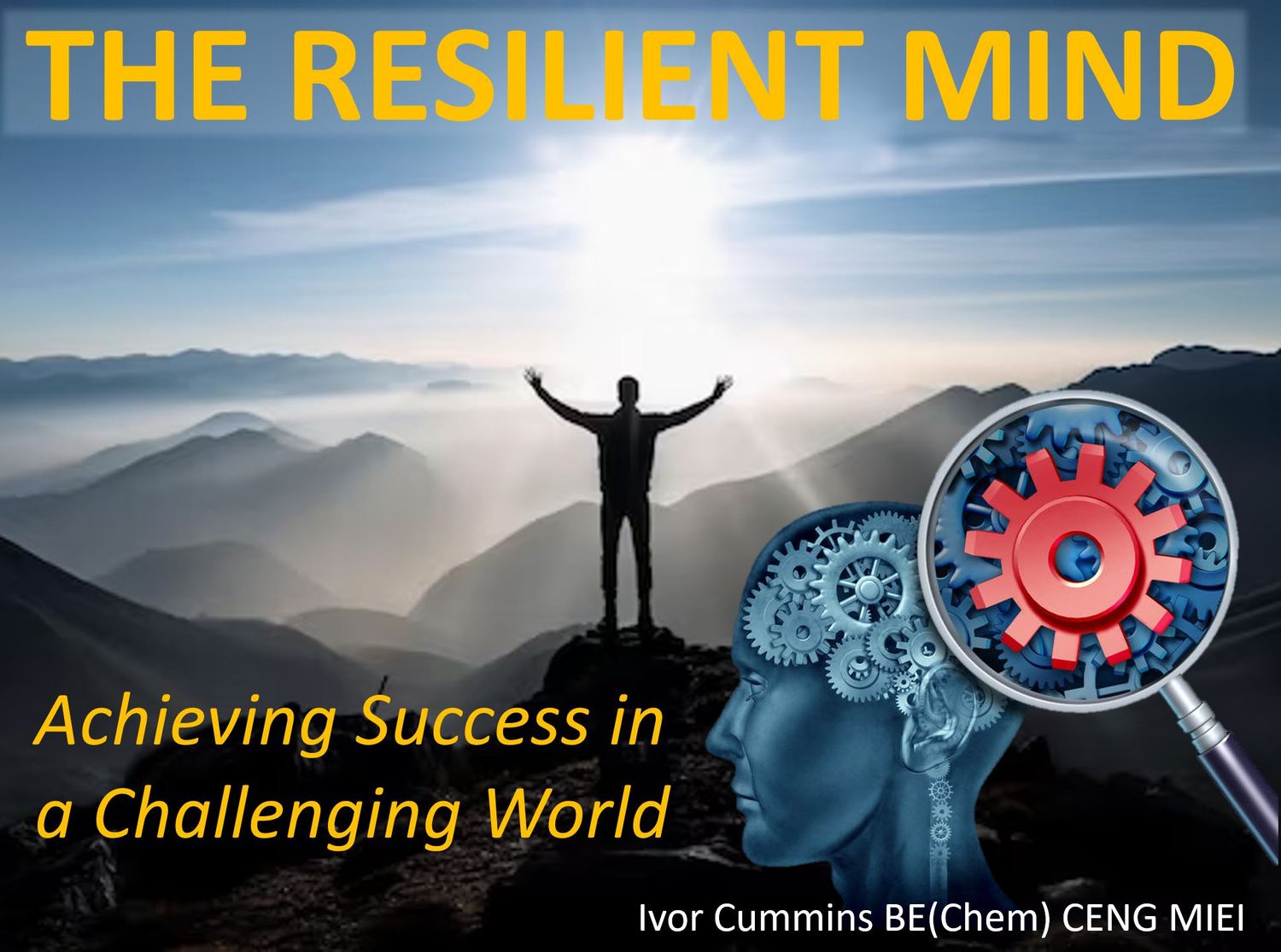 The Resilient Mind Workshop (~$28) - Less than half price for Supporters