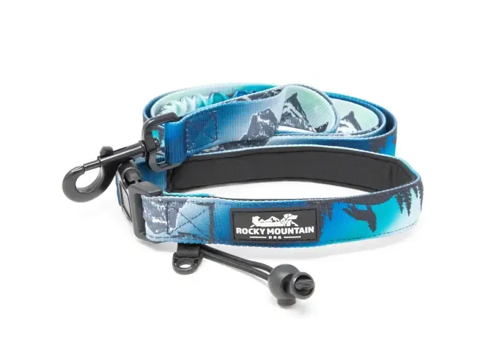 Canmore All-Mountain Dog Leash, Color: Northern Lights, Size: 6 Foot