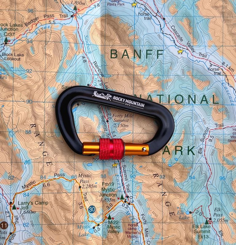 Locking Carabiner