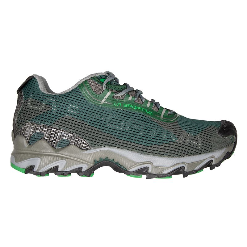 Wildcat 2.0 GTX Men's