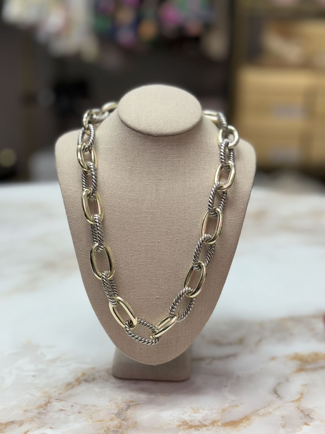 Large Two Tone Link Necklace
