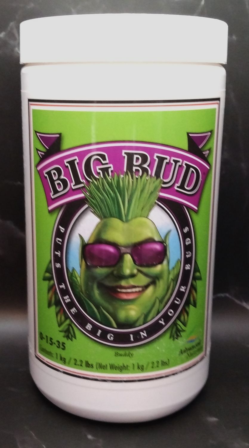 AN Big Bud Powder 1kg