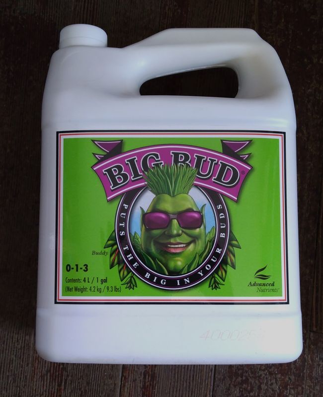 AN Big Bud, 4L