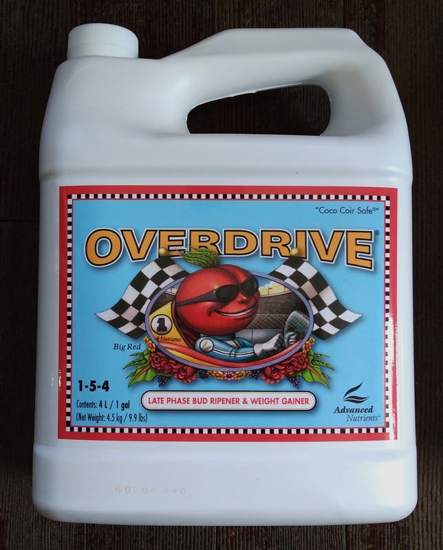 AN Overdrive 4L