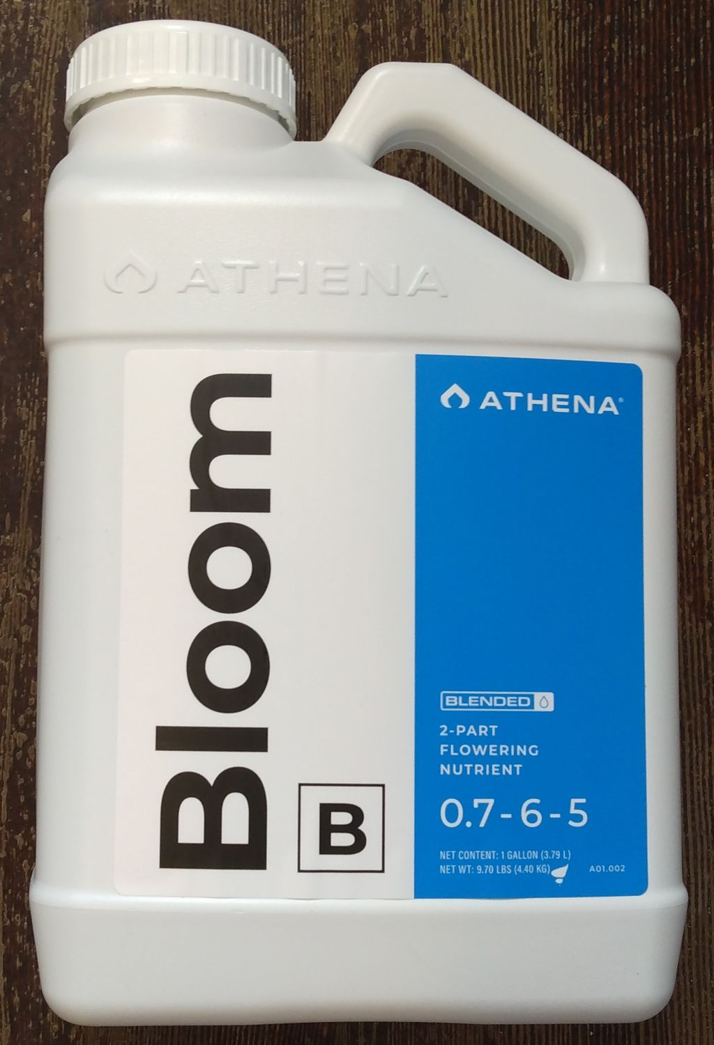 Athena Bloom B Gal