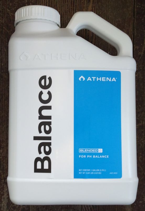 Athena Balance Gal
