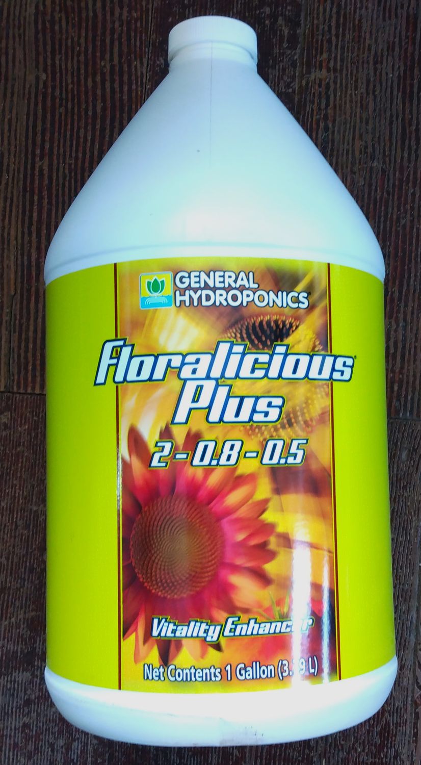 GH Floralicious+, Gal