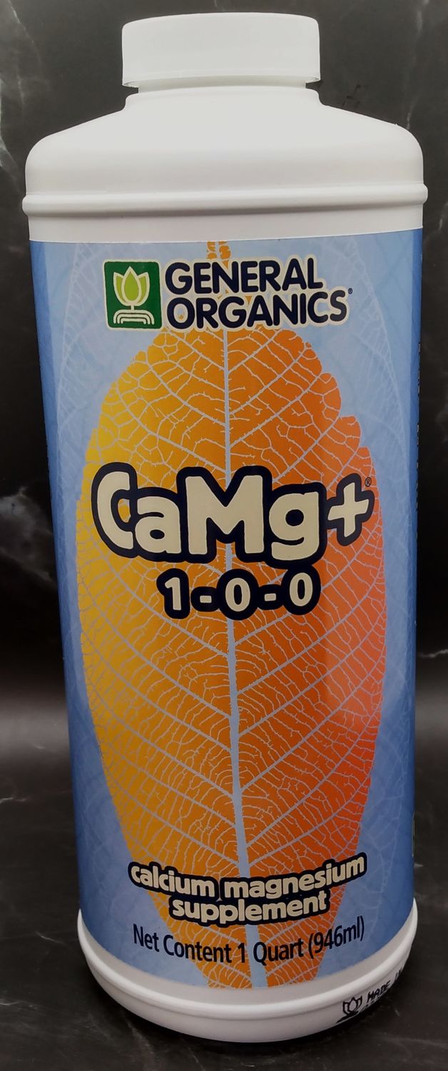 GO CAMG+ QT
