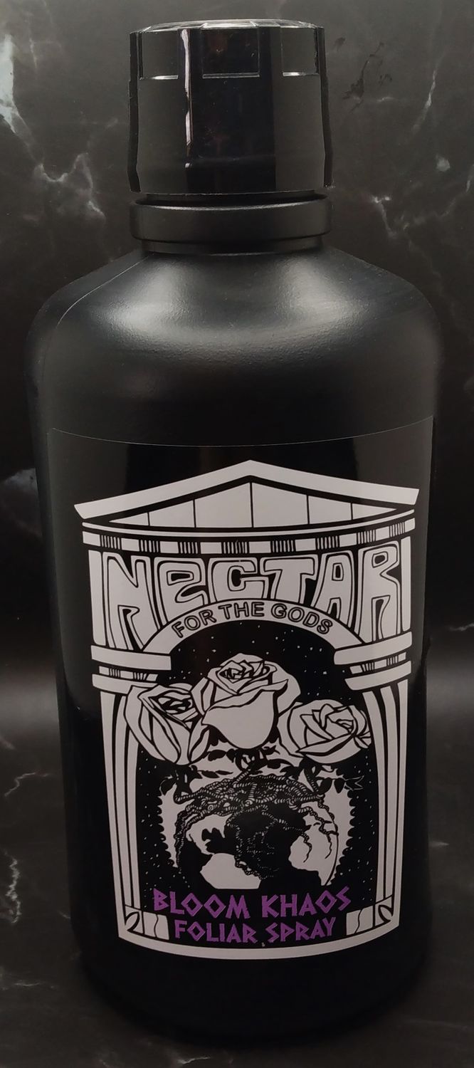 NftG Bloom Khaos, qt.