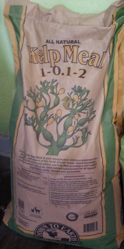 Down to Earth Kelp Meal 50lbs