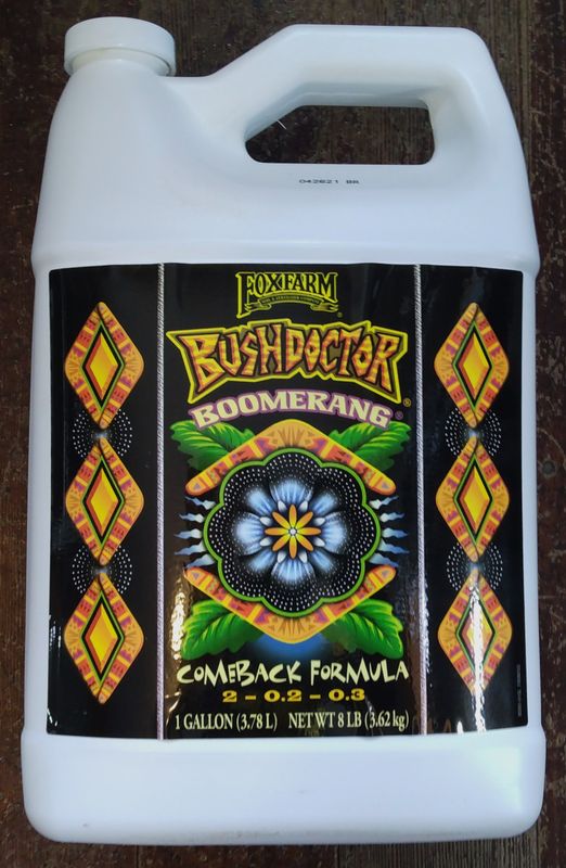 FF Bush Doctor Boomerang, 1G.