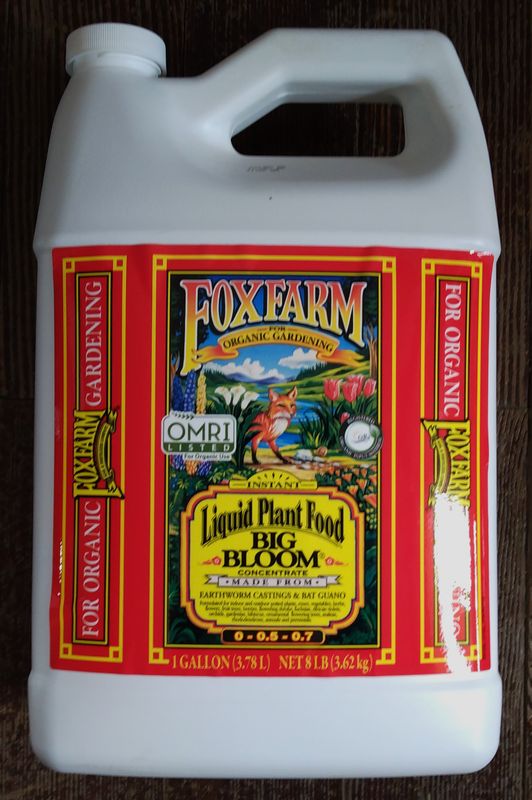 FF Big Bloom, 1gal