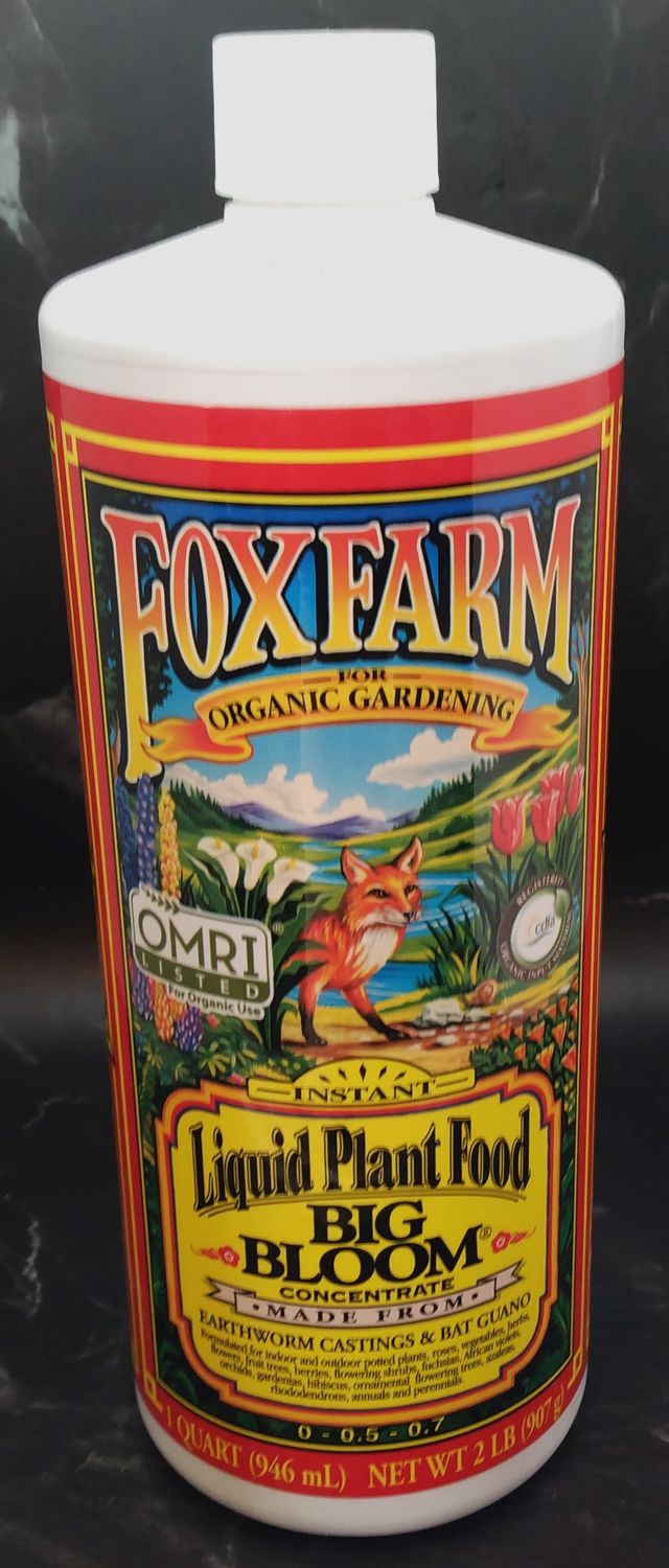 FF Big Bloom, 1qt