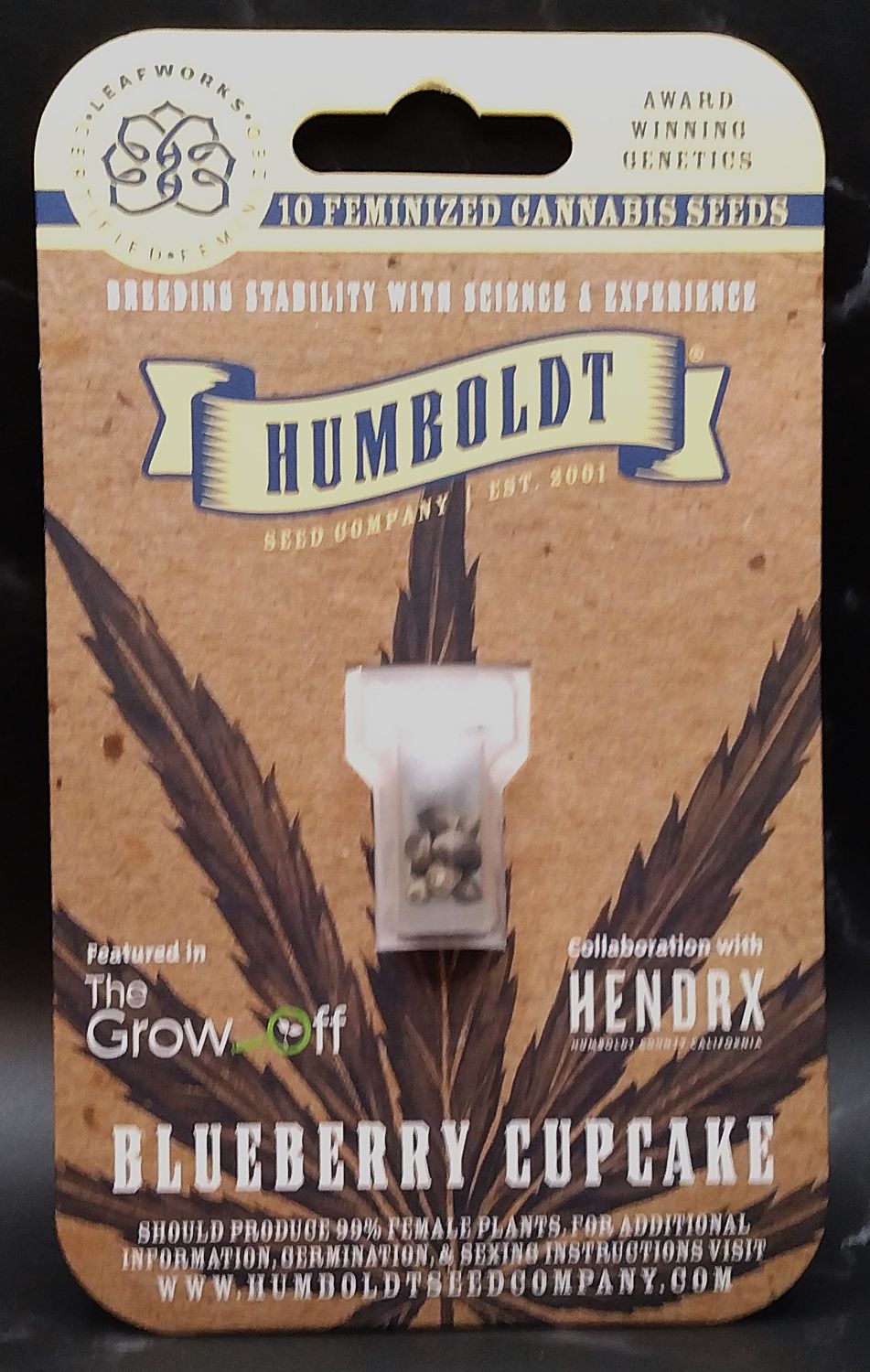 Humbolt Blueberry Cupcake