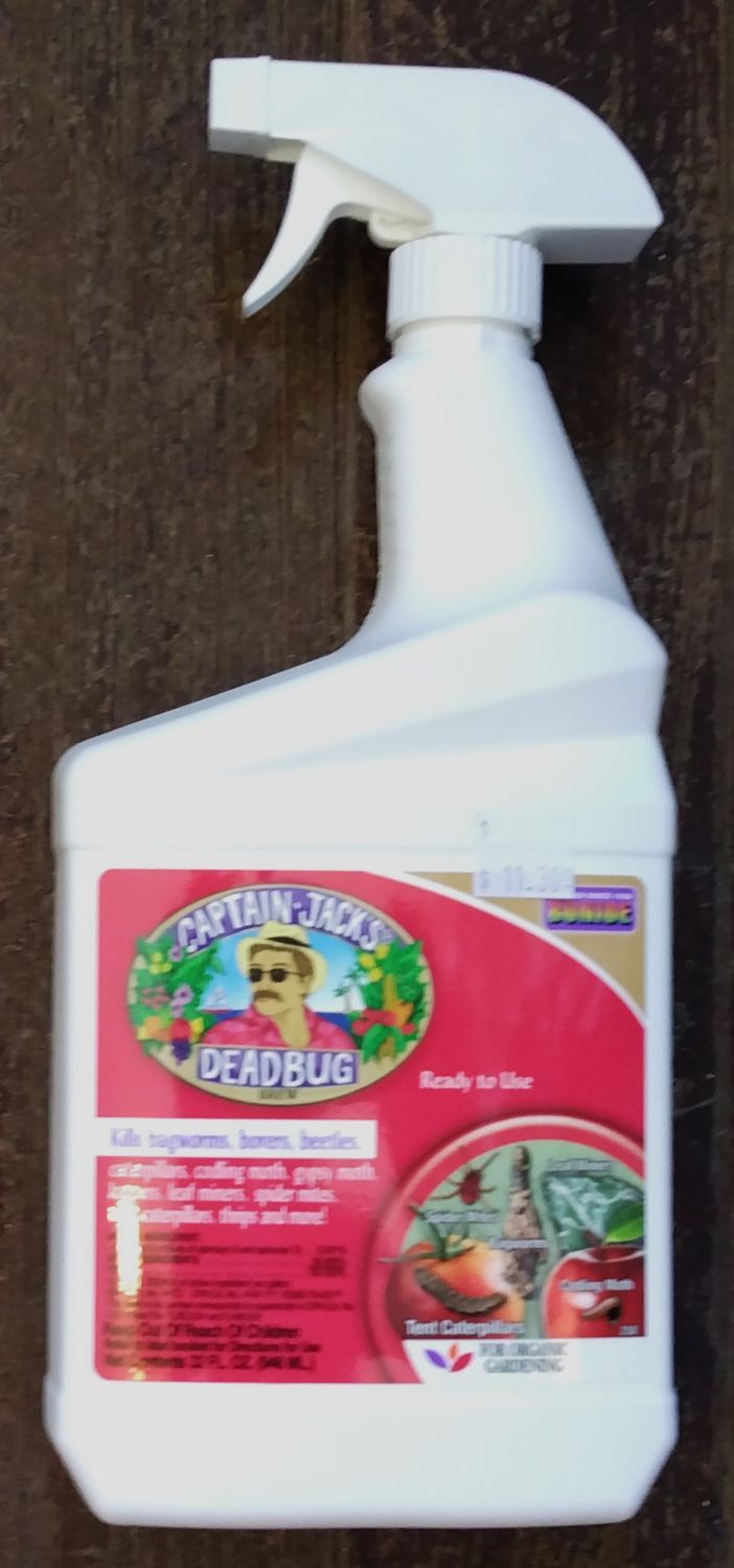 Captain Jack&#39;s Dead Bug Brew