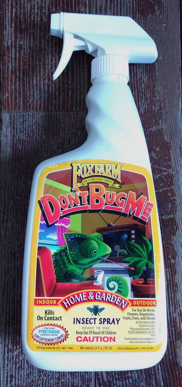 FF Dont Bug Me Rtu