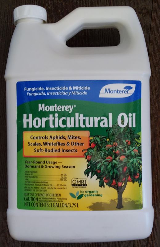 Monterey Horticultural Oil Gal