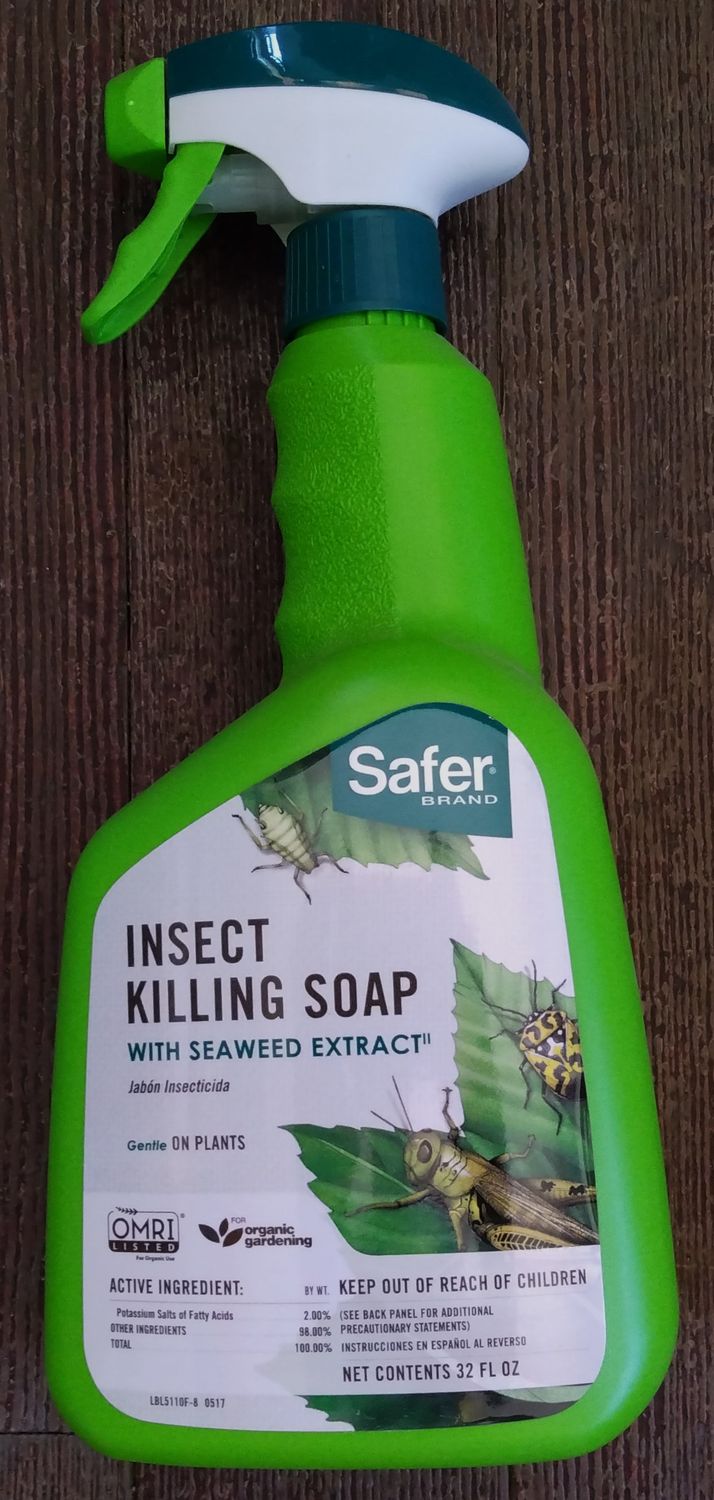 Safer Insect Killing Soap, 32oz RTU (SF5110)