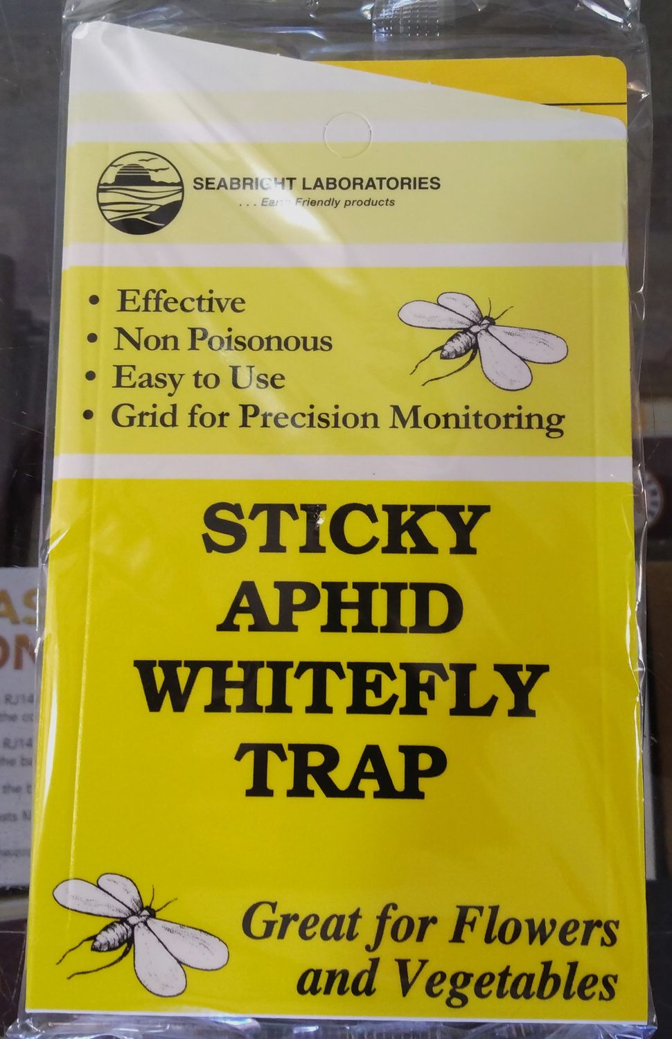 Sticky Aphid/White Fly Trap 5pk