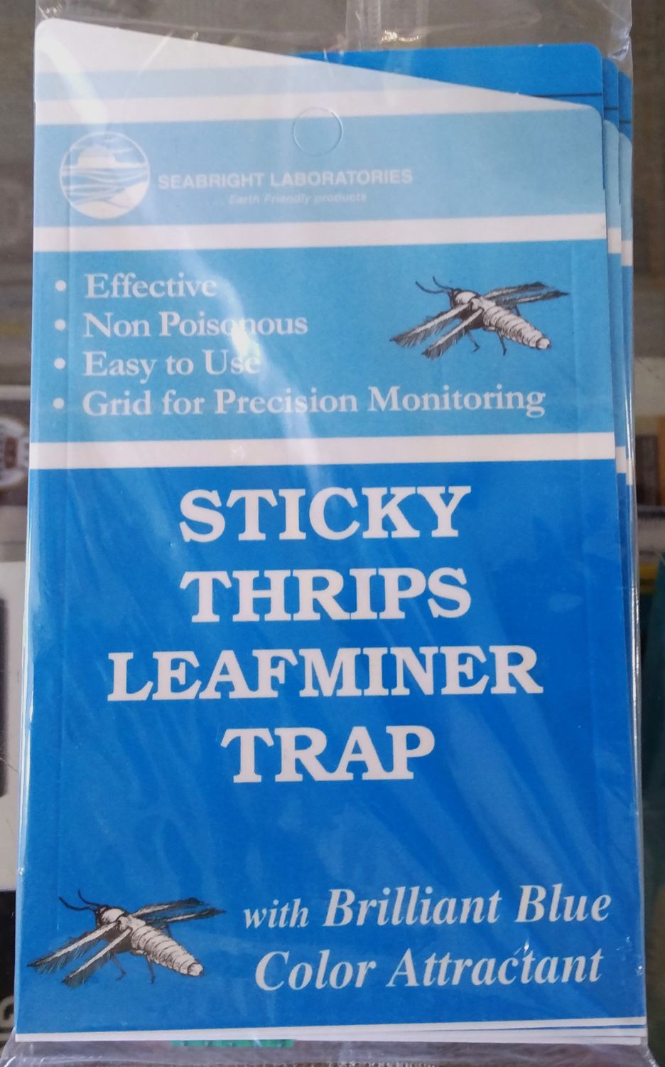 Seabright HGSLTLT Sticky Thrip LeafMiner Trap