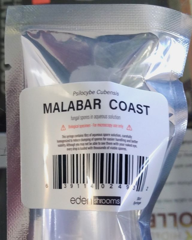 Eden Shrooms Malabar Coast Mushroom Spores (For Microscopy Only)