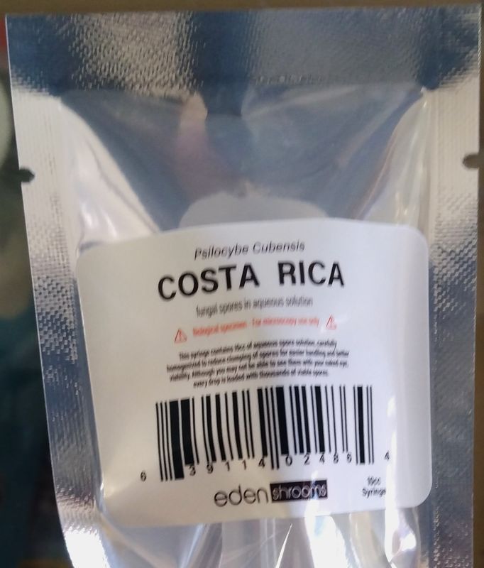 Eden Shrooms Costa Rican Mushroom Spores (For Microscopy Only)